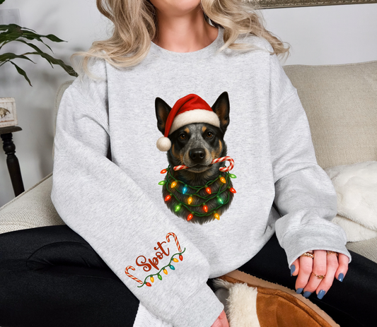Custom Pet Christmas Sweatshirt | Personalized Pet Sweatshirt | Holiday Gift for Dog & Cat Lovers
