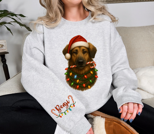 Custom Pet Christmas Sweatshirt | Personalized Pet Sweatshirt | Holiday Gift for Dog & Cat Lovers