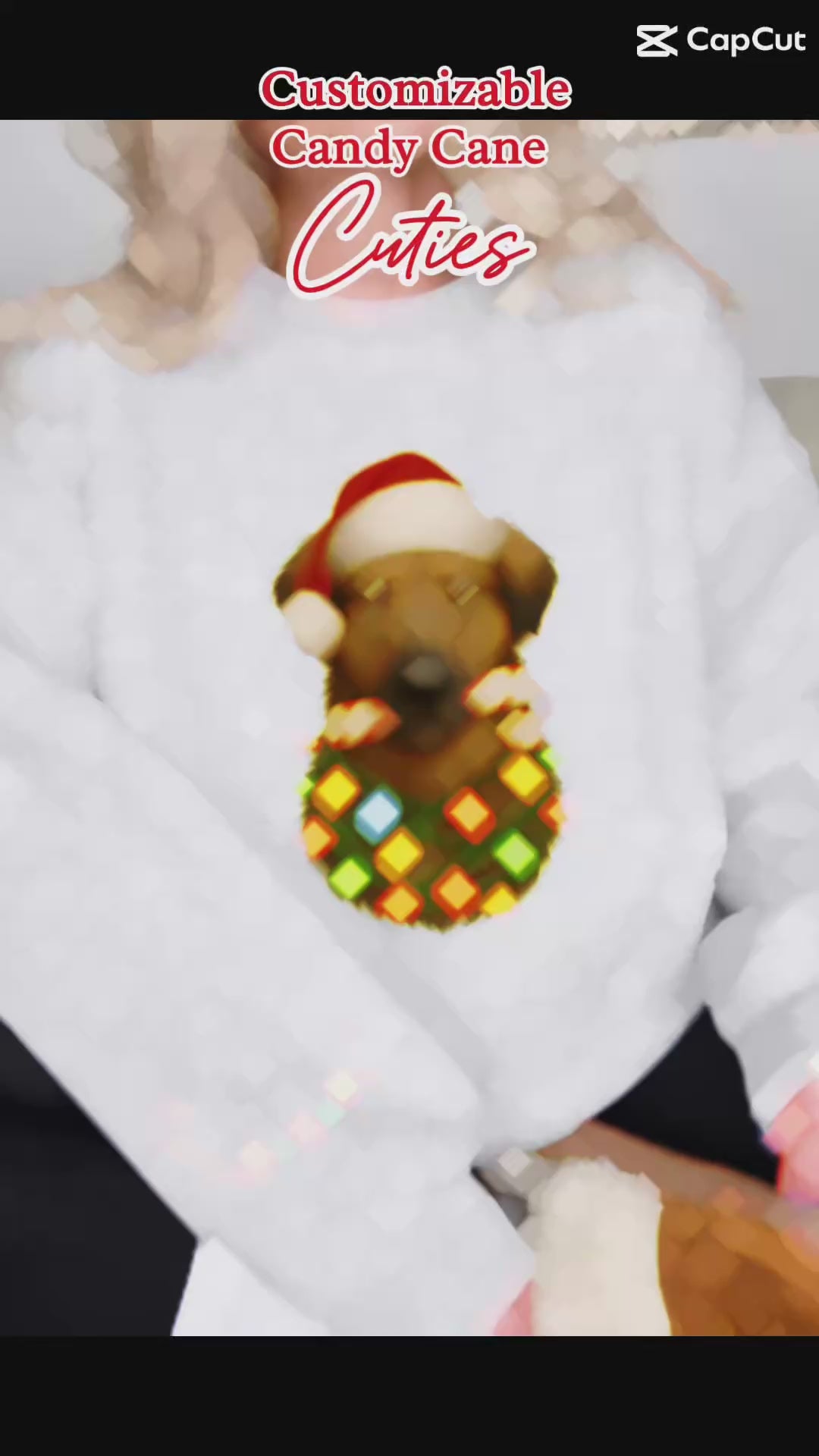 Custom Pet Sweatshirt